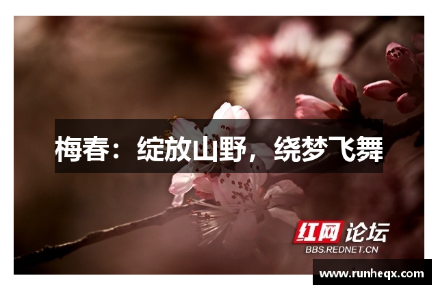梅春：绽放山野，绕梦飞舞