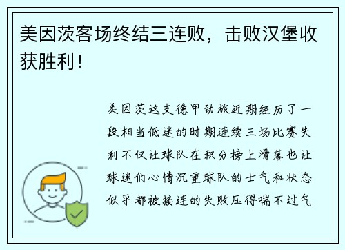 美因茨客场终结三连败，击败汉堡收获胜利！